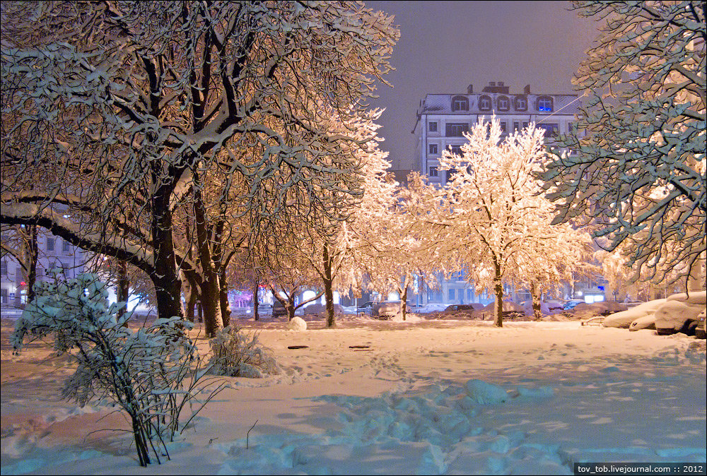 красивый зимний парк фото
