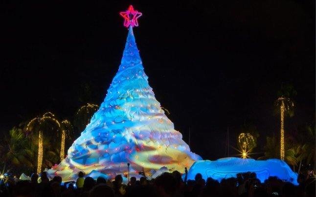 самый большой ёлка в мире 2019 фото