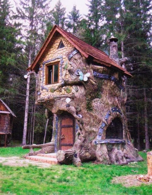сказочный домик на дереве фото