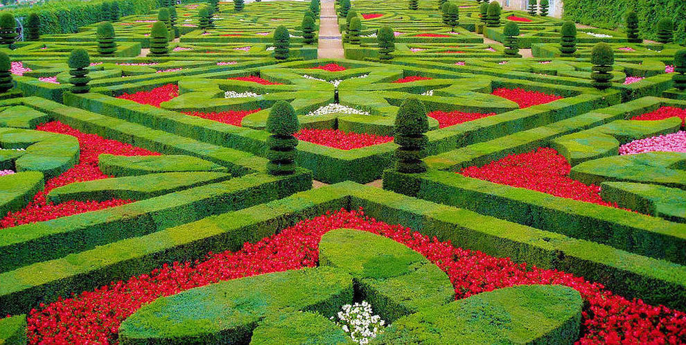 топиарное искусство версаль франция фото
