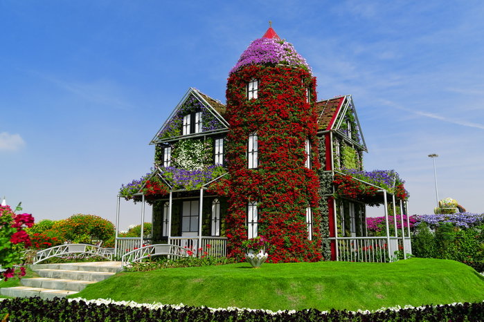 miracle garden дубай фото