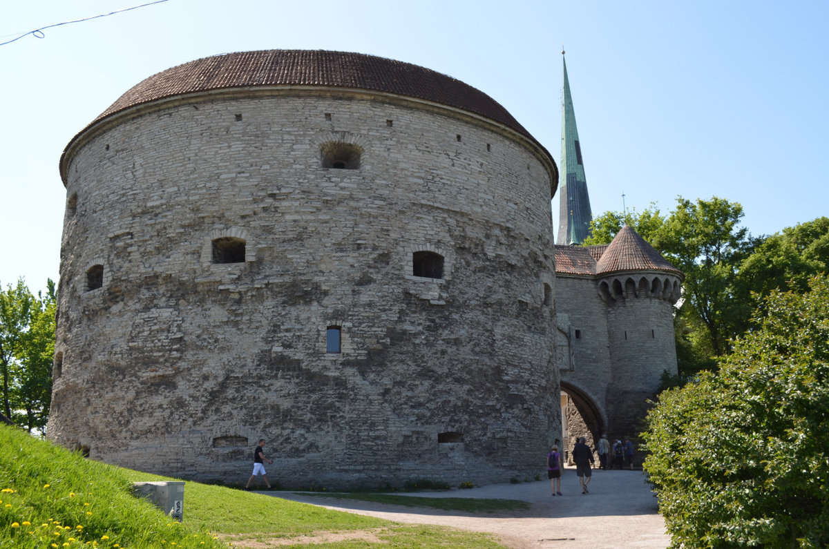башня толстая маргарита в таллине фото