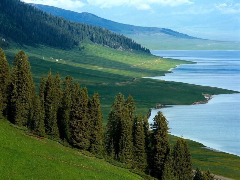 природа байкала летом фото