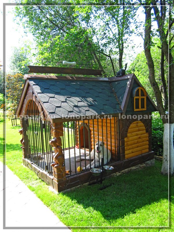 вольер с будкой для собаки фото