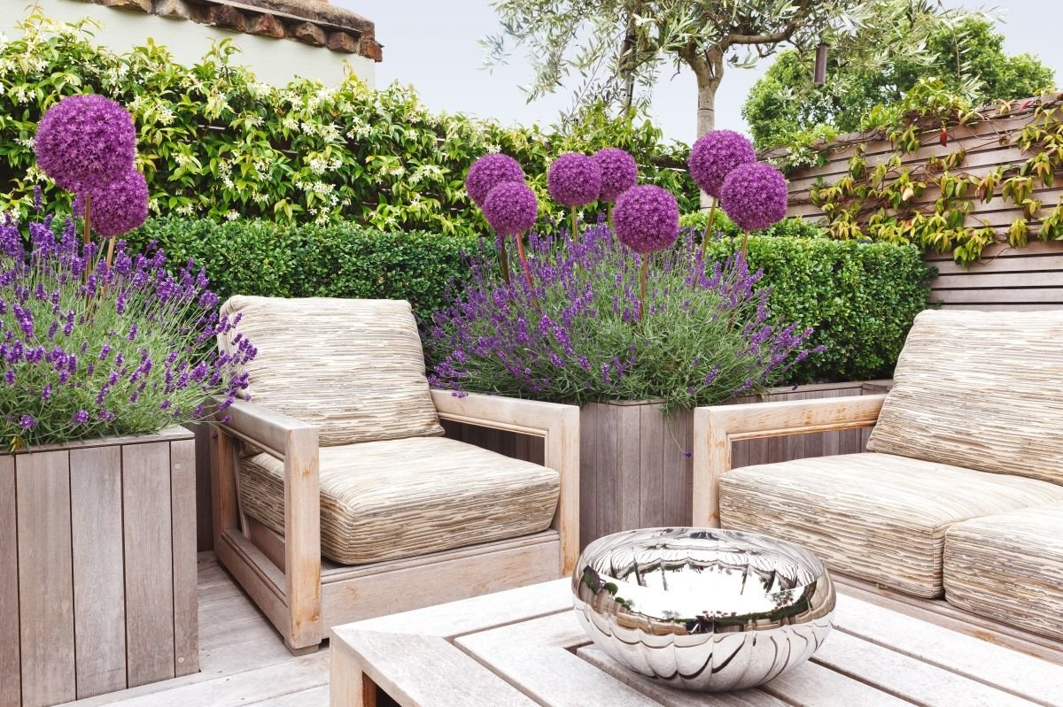 Aliums and Lavender: Modern Country Garden Companions...over on Modern Country Style blog