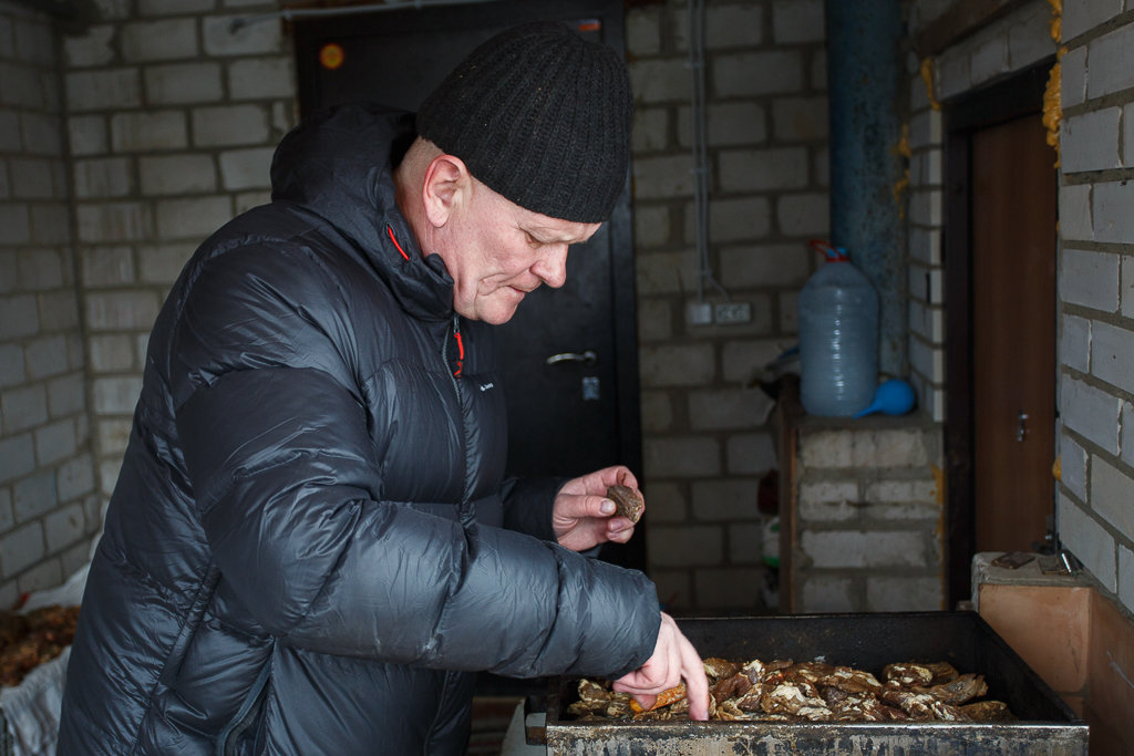 ��������� ���� �������� ��������