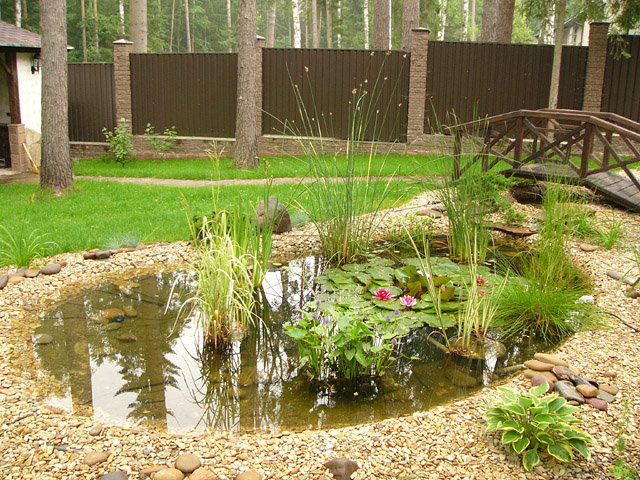 садовый пруд фото