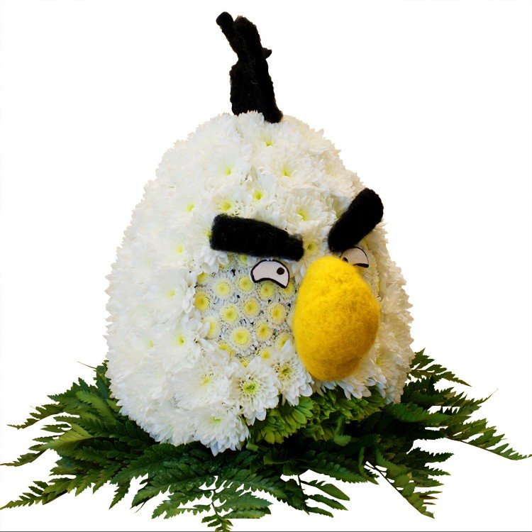 angry birds фото