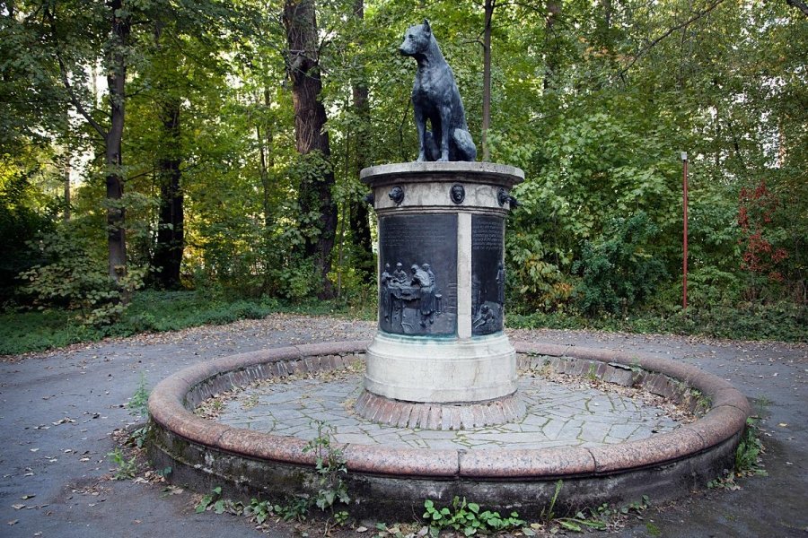 памятник собаке павлова в санкт петербурге фото
