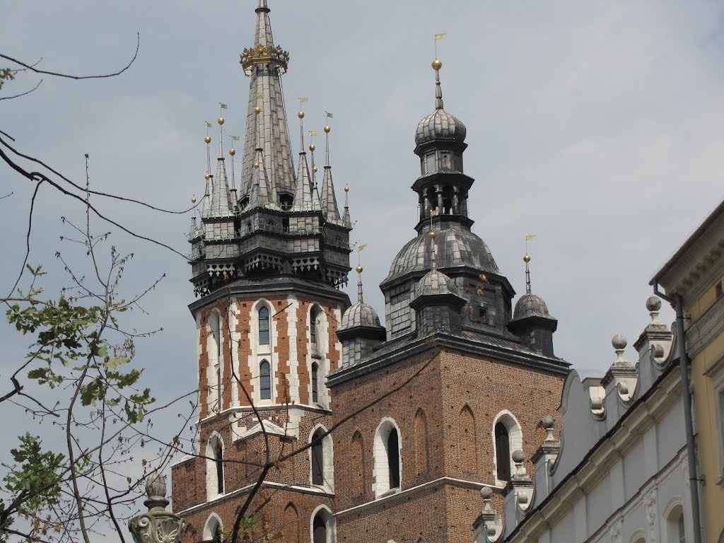 готический костёл св. марии фото