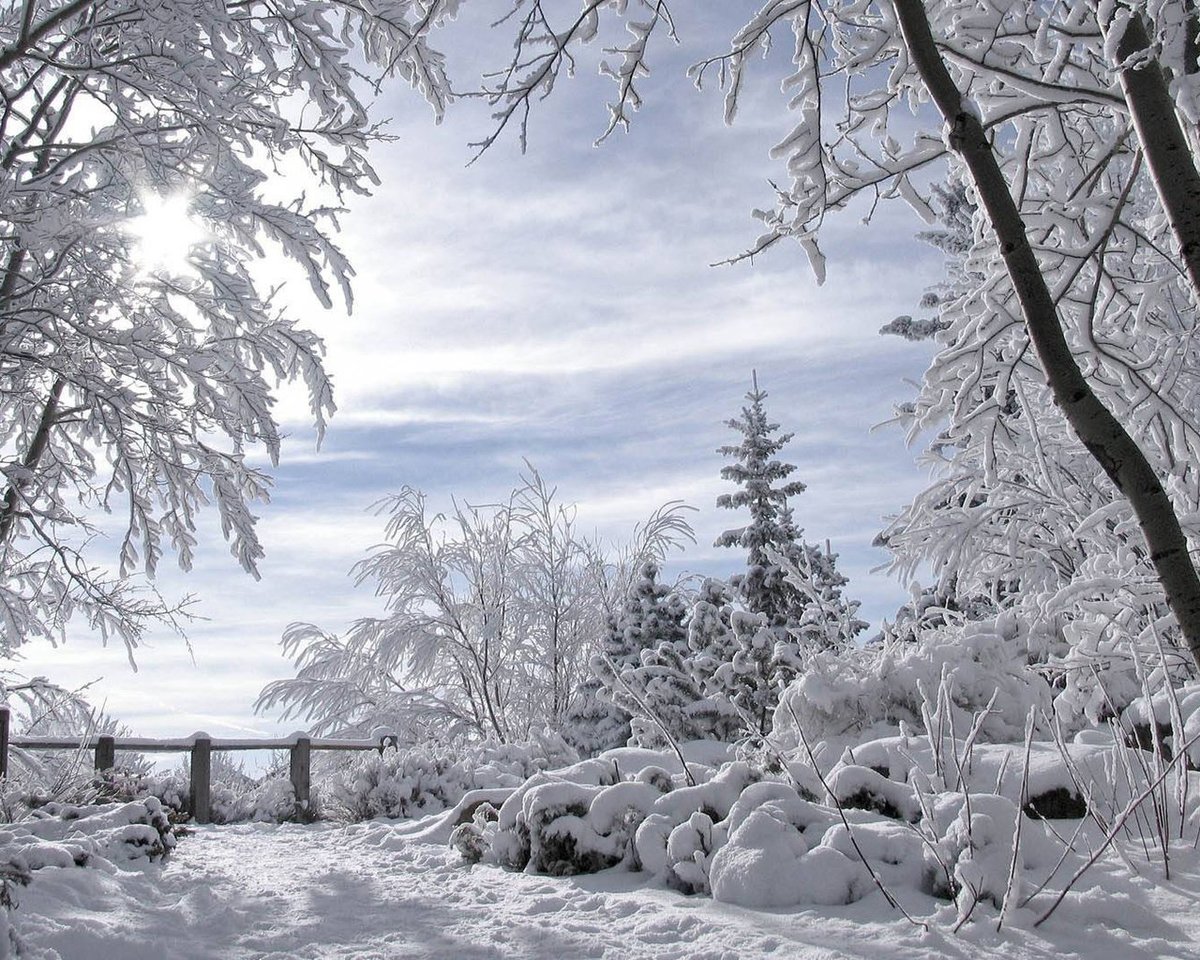 зима снег фото