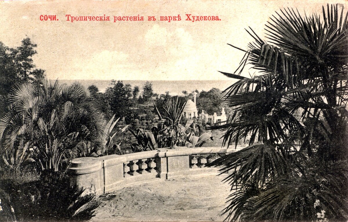 старинные фото парка худекова в сочи фото