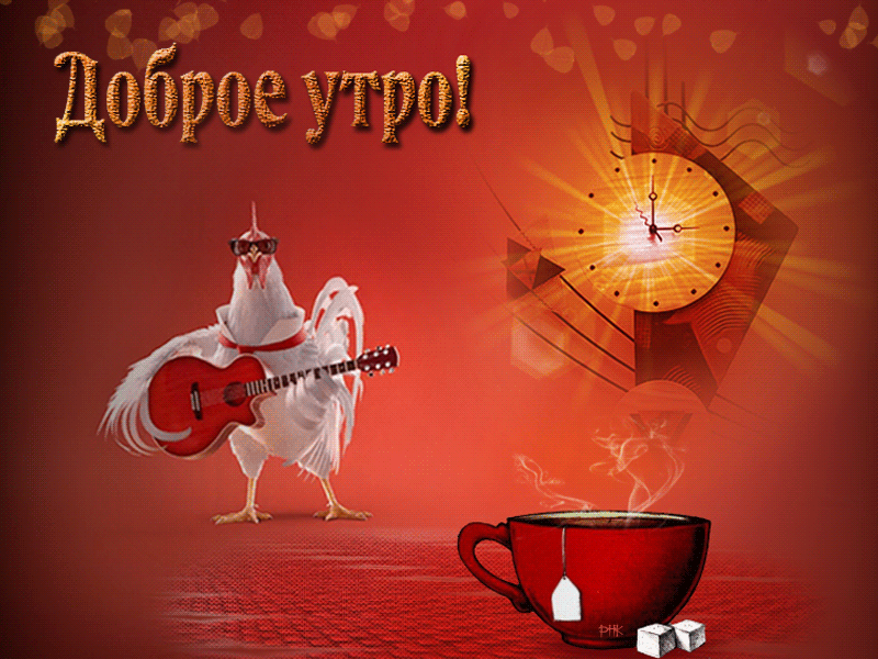 gif ,  gif animated  ,    ,,  , 
