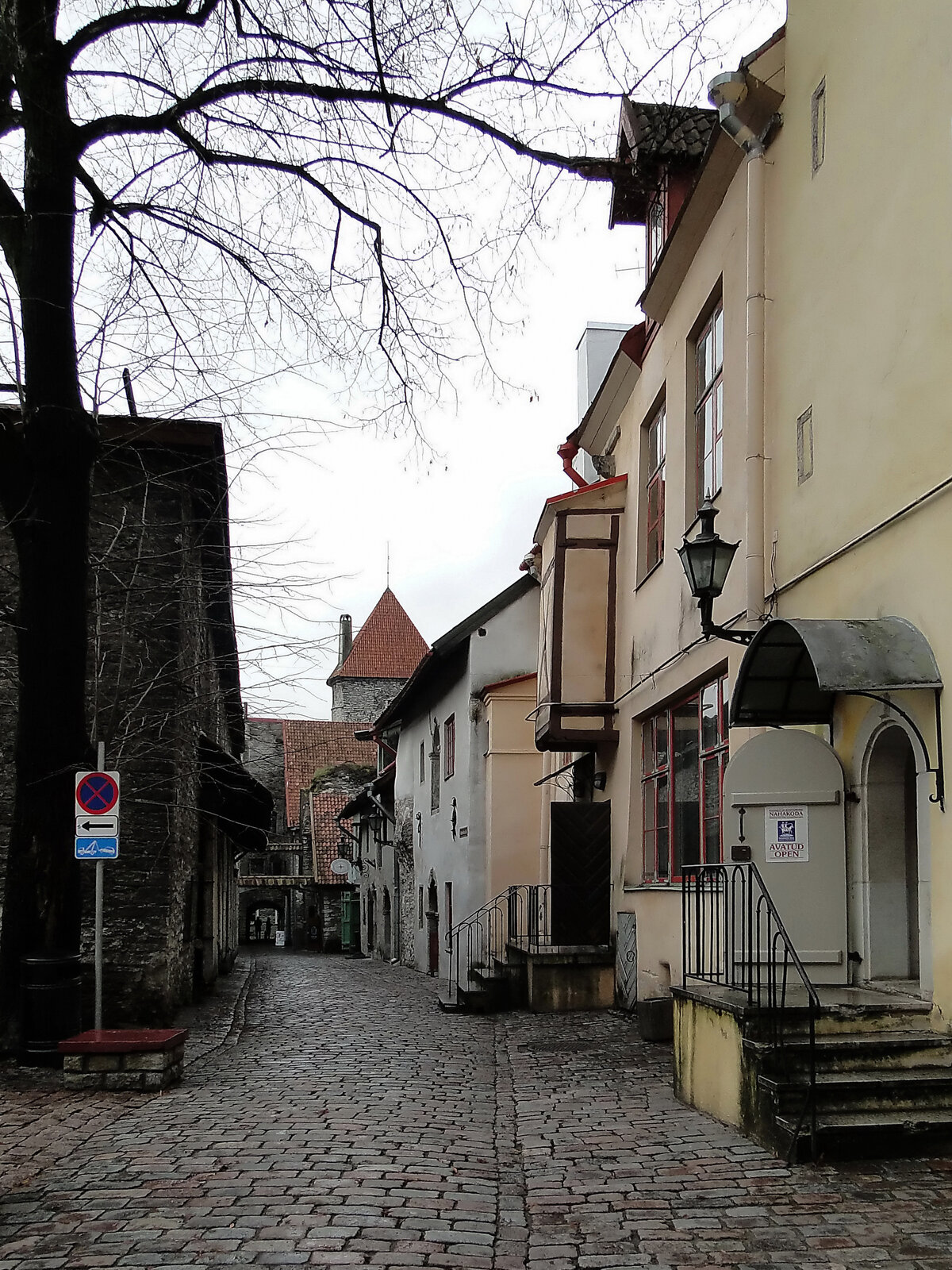 таллин улица катарины фото