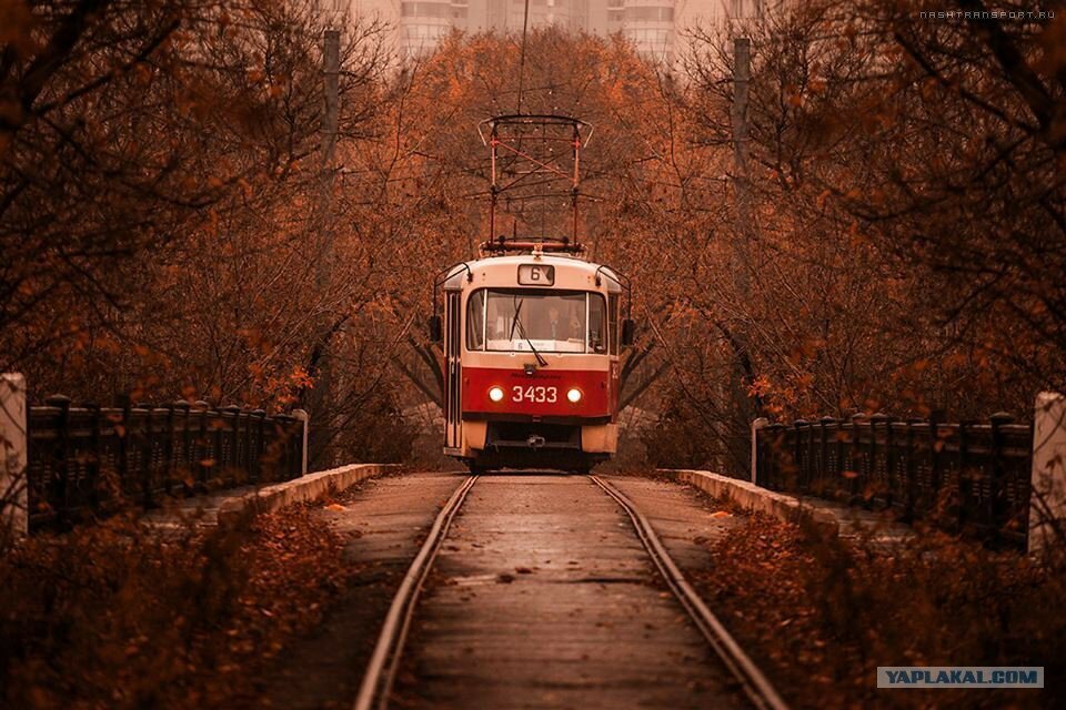 трамвай фото