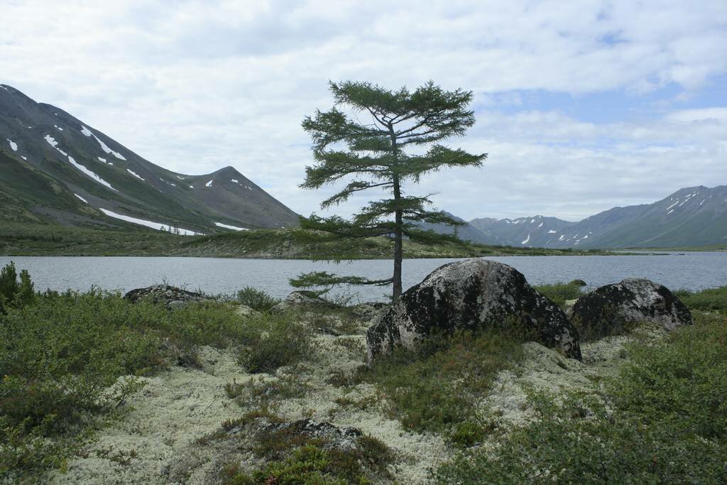 байкал фото
