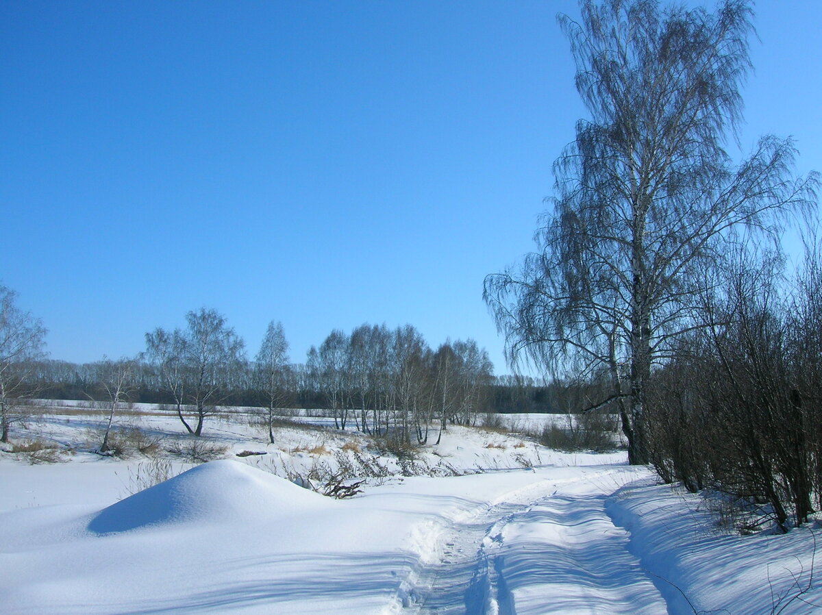 снег зима фото