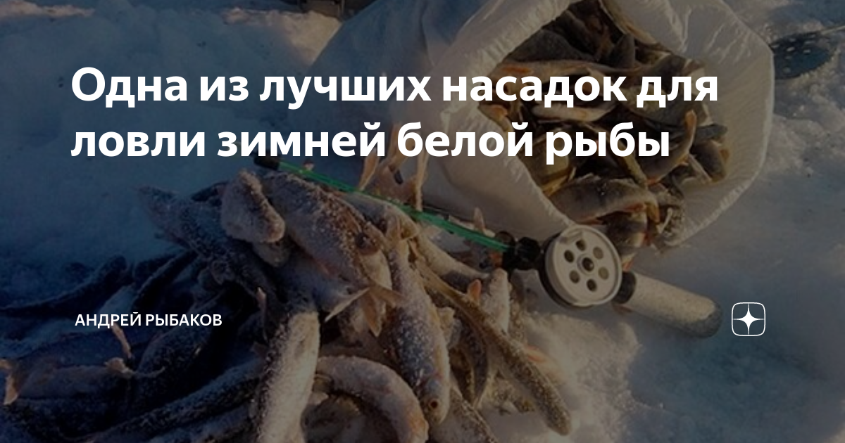 зимняя рыбалка фото