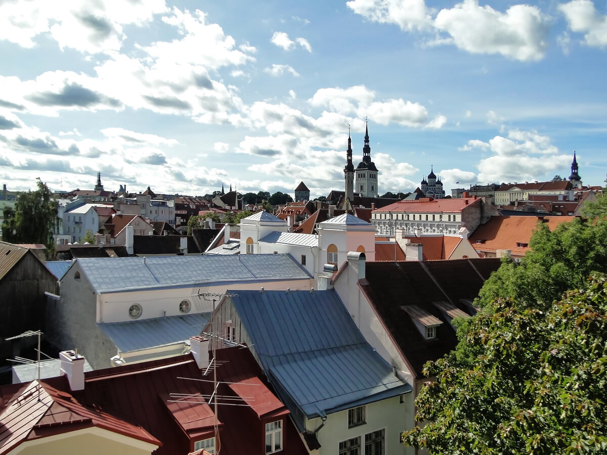 таллин старый город фото