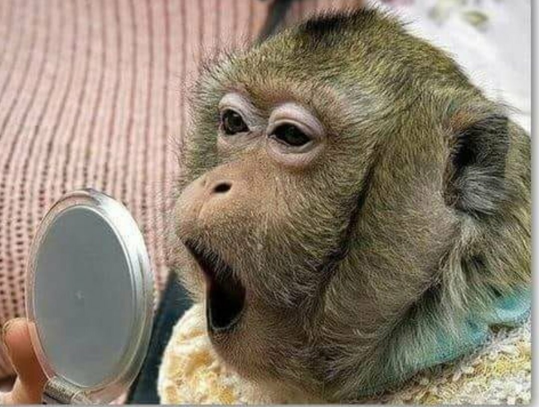 Прикольные картинки до