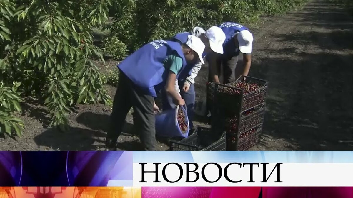 патрушев и путин фото