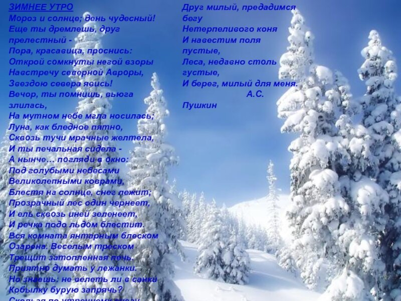 снежная зима фото