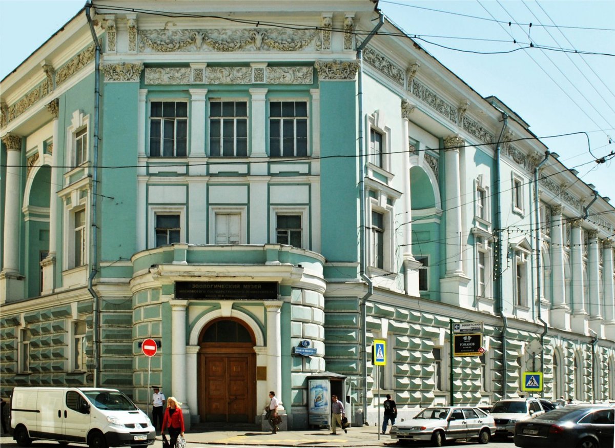 зоологический музей мгу в москве фото