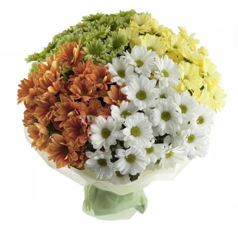 �������� �� ���������, �������� ���