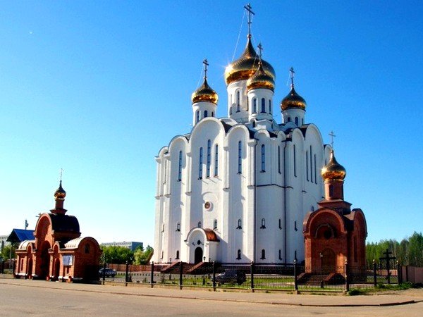 свято стефановский кафедральный собор фото