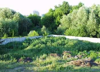 малиновый овраг в звенигороде фото