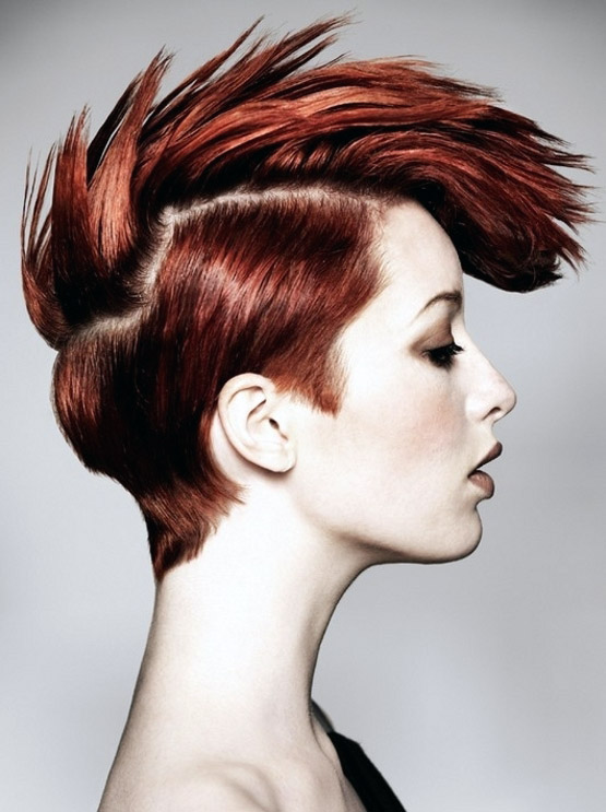 Moi Kartinki Yandeks Kollekcii