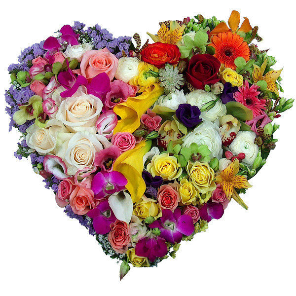 ����� � �������� �������� ������