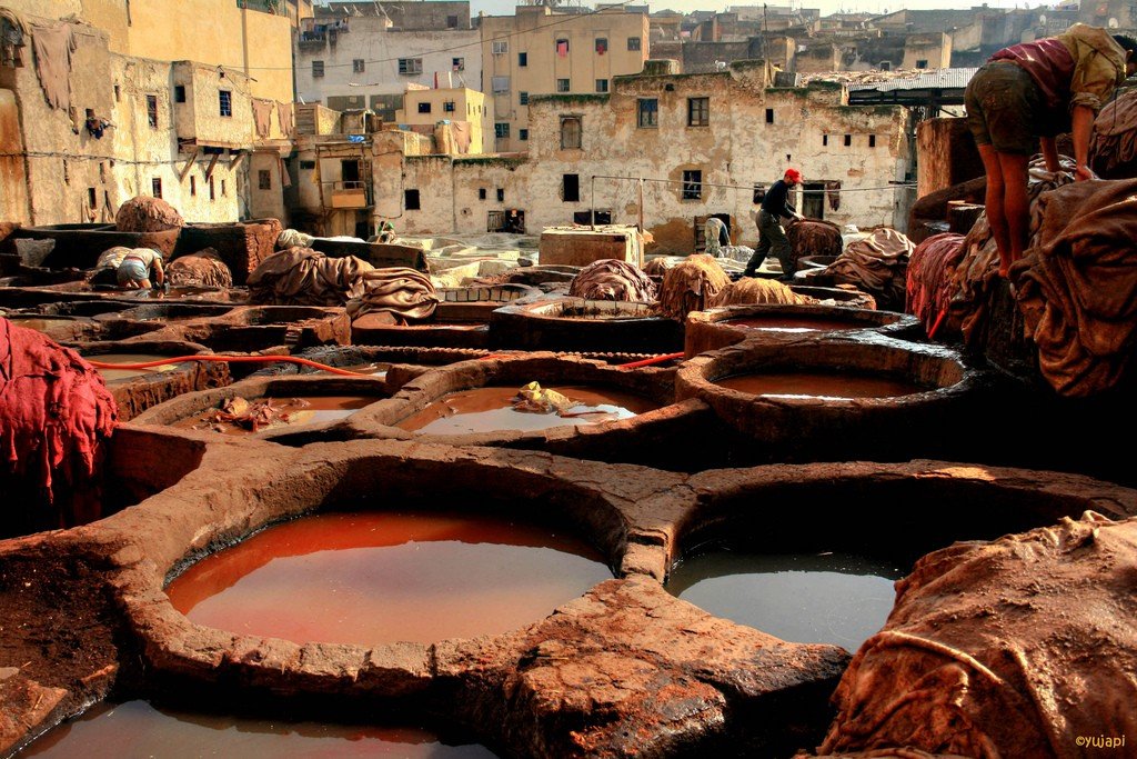 ��� ������� �������� ���������