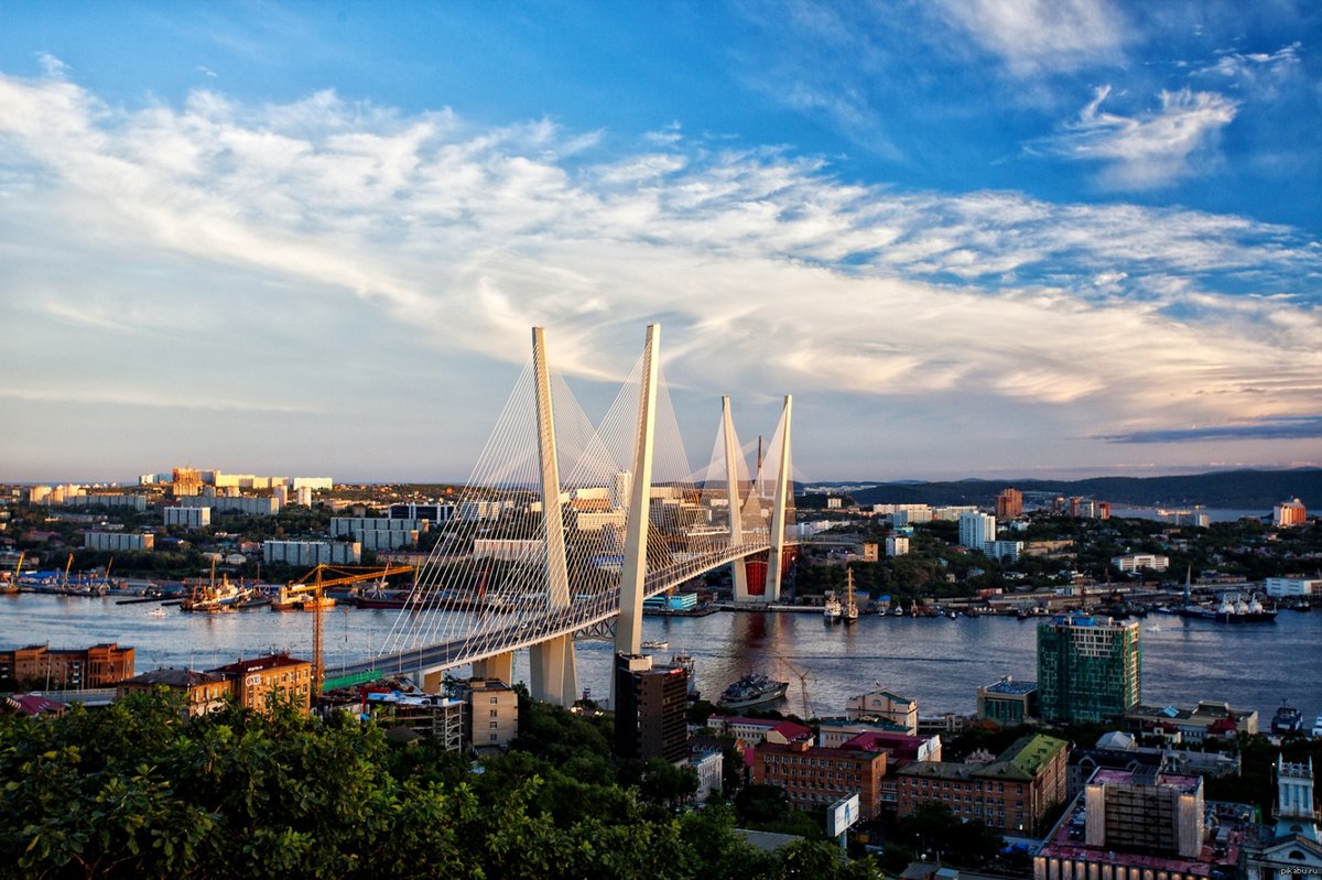 золотой мост владивосток фото