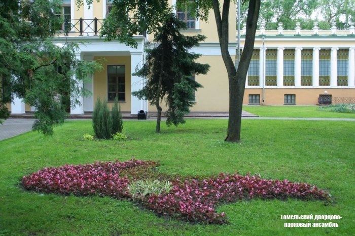 дворец паскевичей в гомеле фото