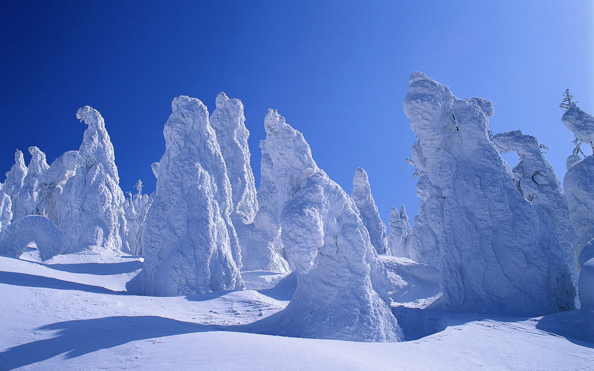 снежная кайма фото