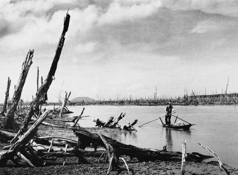 война во вьетнаме агент оранж фото