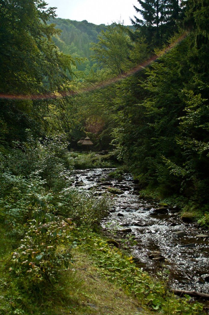 горные реки карпат фото