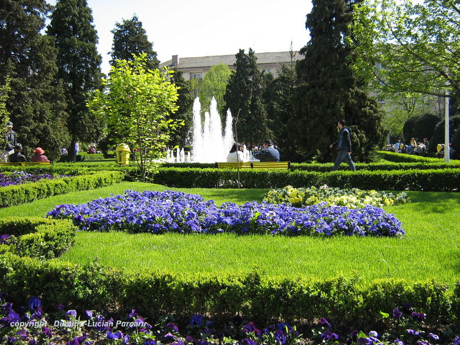 парк фото