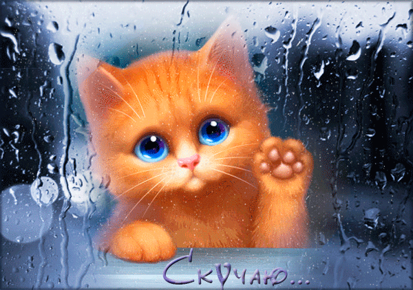 �������� ���� �������, ������ �������� ����