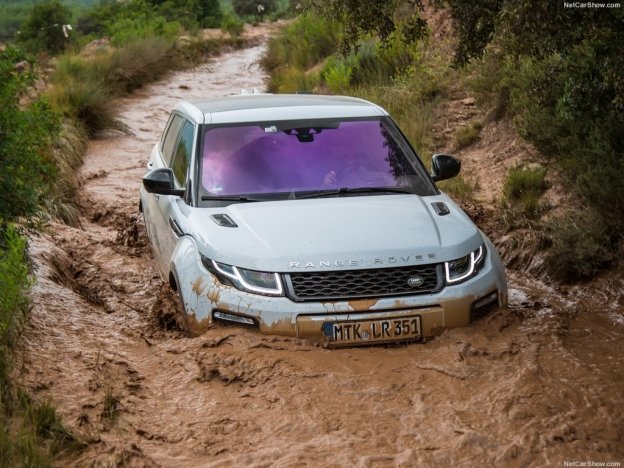 range rover evoque фото