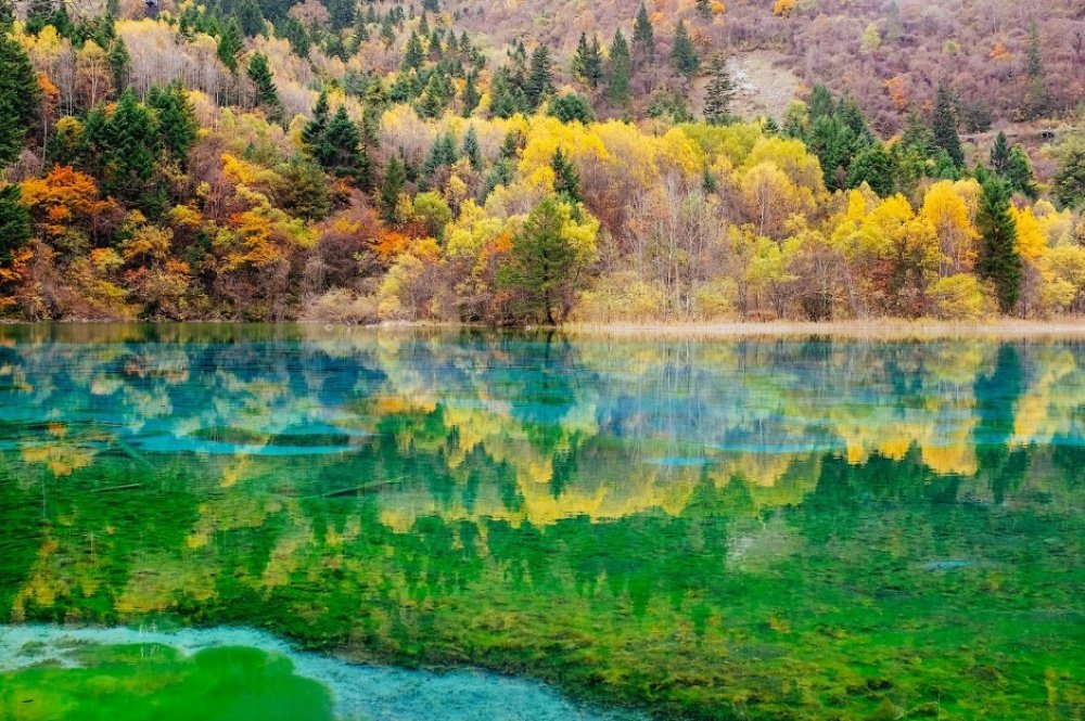 цзючжайгоу озеро пяти цветов фото