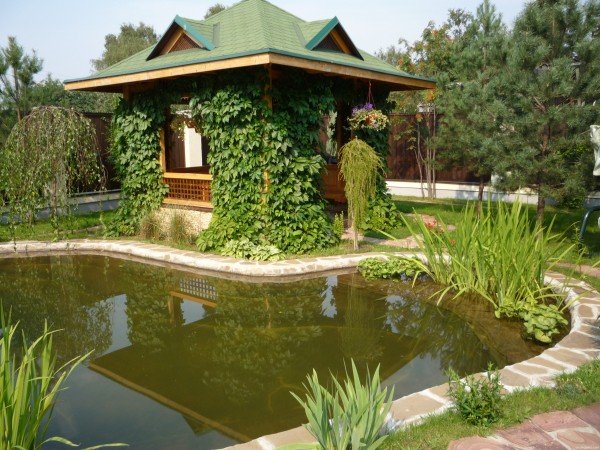 пруд на дачном участке фото