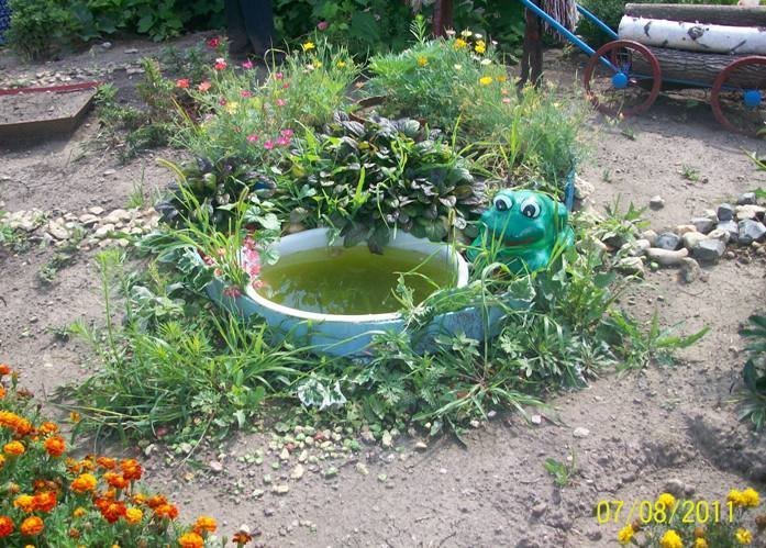 прудик на даче фото