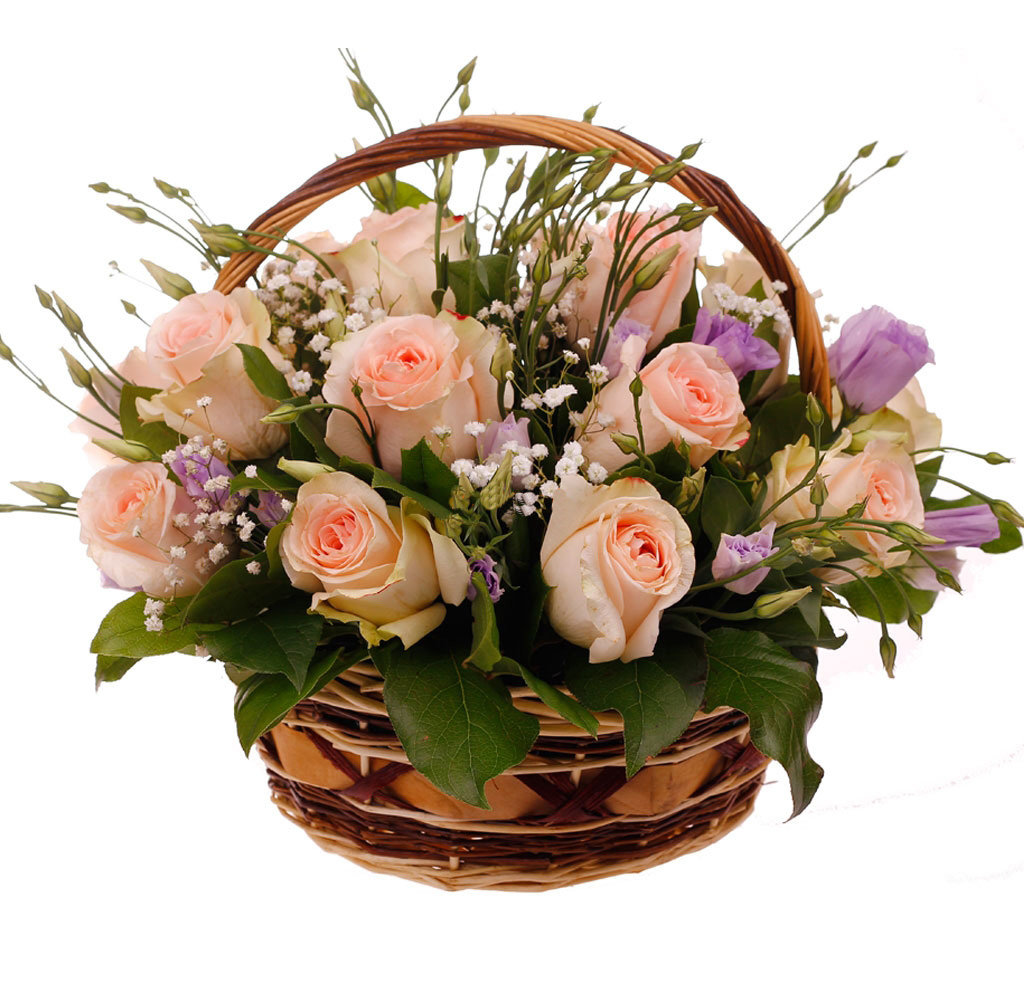 �������� ���������� �� ������