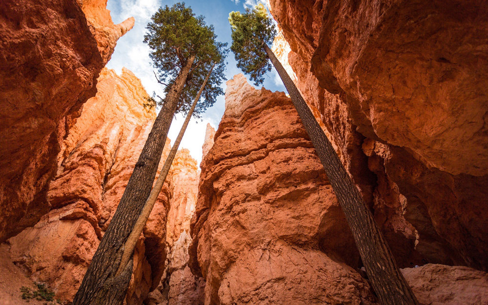 национальный парк брайс каньон фото