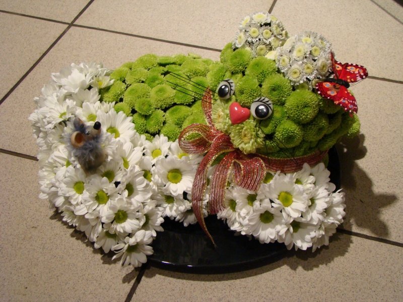 �������� ���������� �� ������