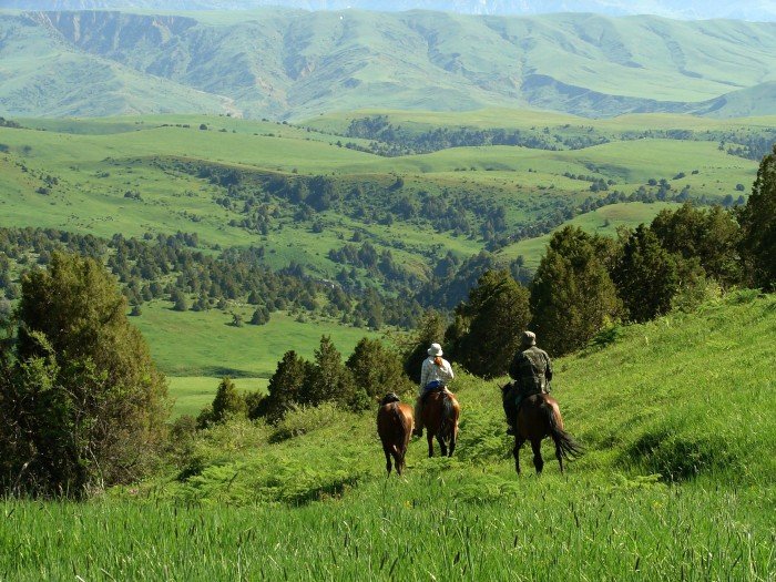 заповедник аксу джабаглы казахстан фото
