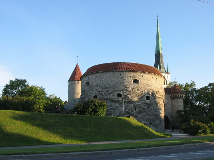 толстая маргарита в таллине фото