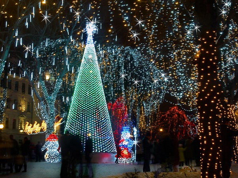 новогодняя ель фото
